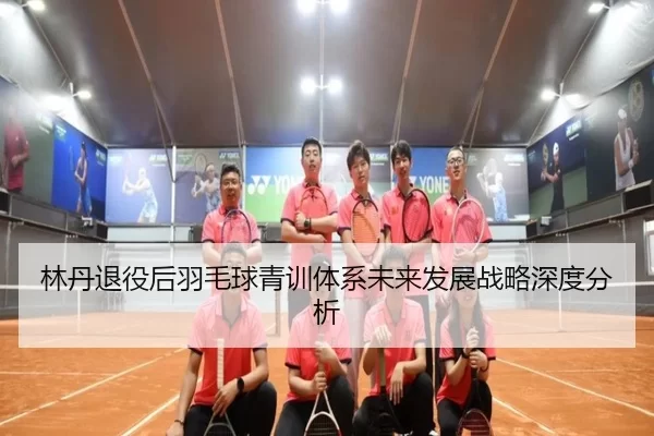林丹退役后羽毛球青训体系未来发展战略深度分析