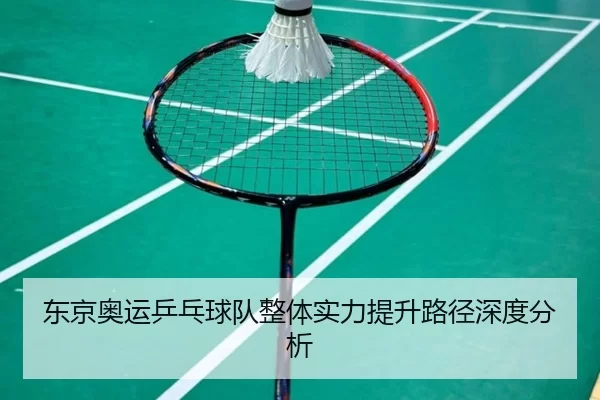 东京奥运乒乓球队整体实力提升路径深度分析